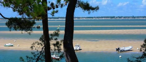 Vue sur la plage ou l’océan