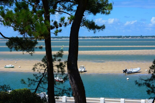 Vue sur la plage ou l’océan