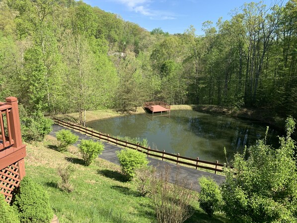 View from front porch