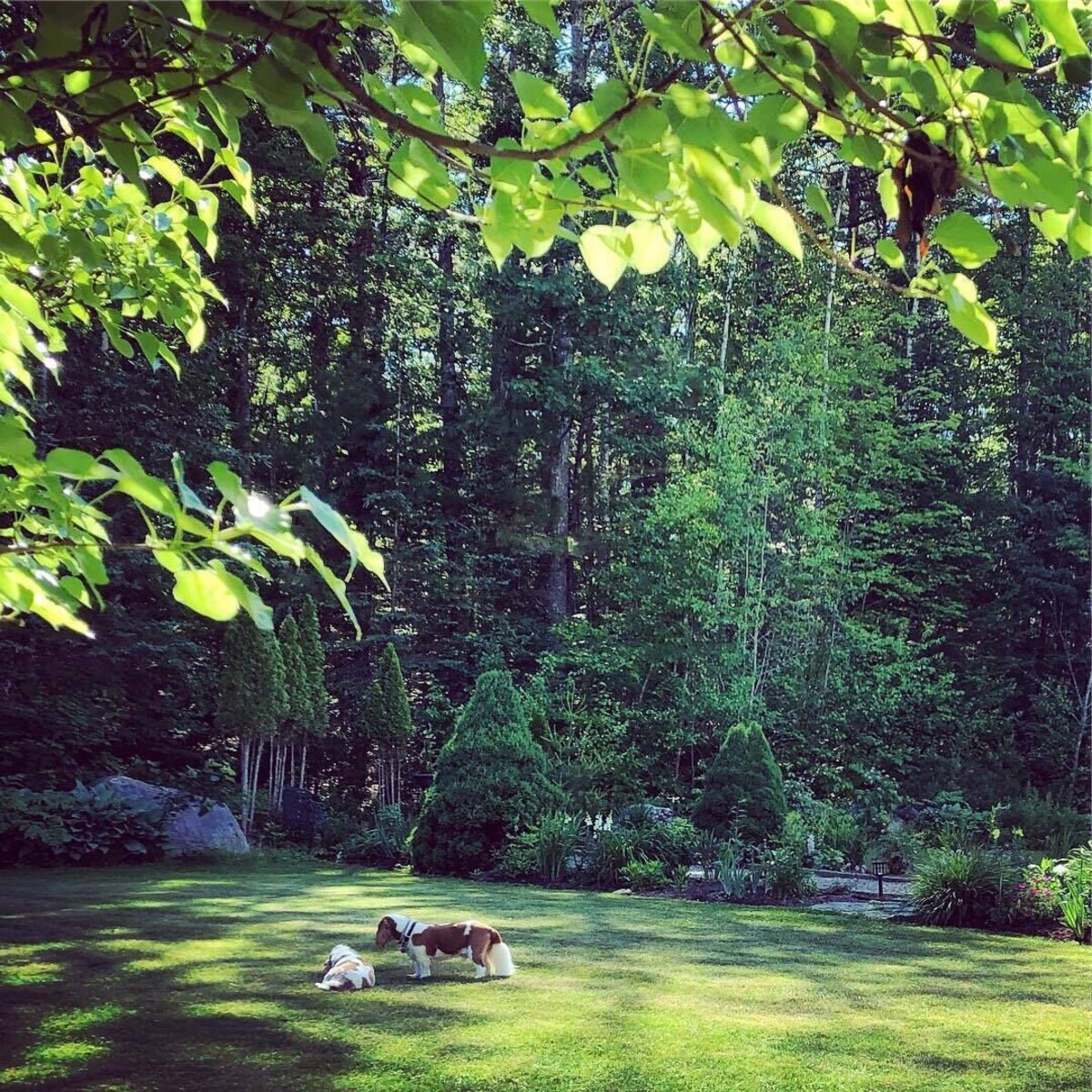 Peaceful Lakeside Retreat C1920, Minutes To Damariscotta