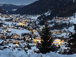 Night view from our garden in winter 