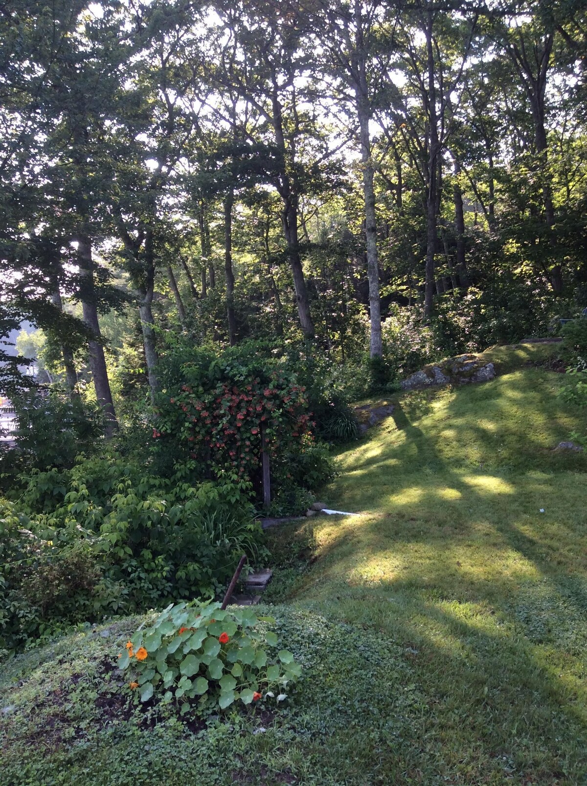 Quiet, authentic Maine village overlooking historic harbor in Mid-Coast Maine