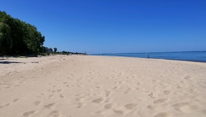 South View of the Beach, August 2021