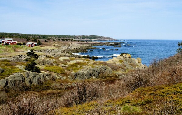 Strand
