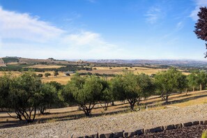 Incredible views surround the home.