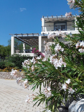 L'arrivée chez AlphaVilla...