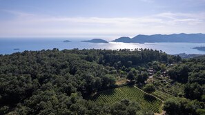 Vorgebirge von Caprione LaSpezia ValdiMagra Lunigiana
