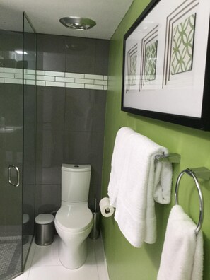 Glass enclosed shower