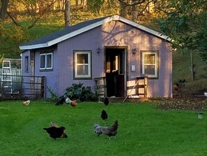Udendørsområde