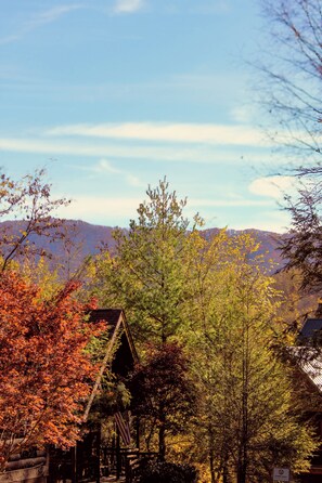 Seasonal mountain views from front porch