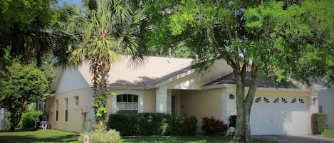 Sunny front yard