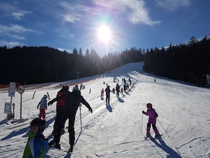 Skidåkning