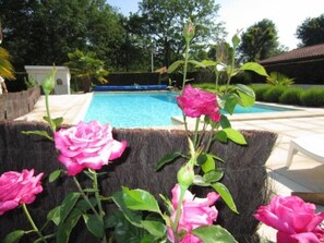 Swimming pool, trees view