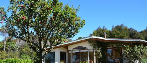 Main lodge house 