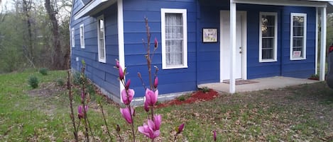 Bois d'Arc Cabin