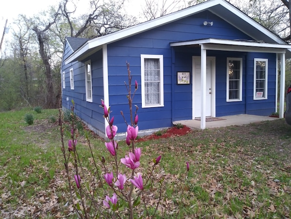 Bois d'Arc Cabin