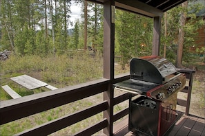 Gas Grill on Covered Porch off the Kitchen