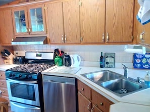 all stainless steel appliances