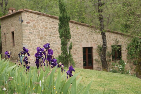 The Capanna in April