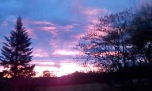 Oklassificerad bild, 5 av 10, knapp
