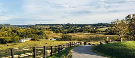 Driveway approach to Orchard Hill