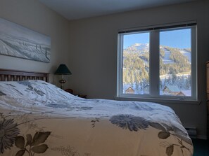 Master Bedroom view of the top of the mountain
