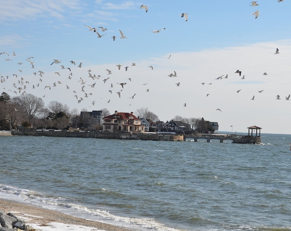 Direct Beachfront/Waterfront property!