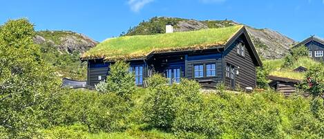 Exteriör