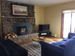 Living area with cozy wood burning stone fireplace