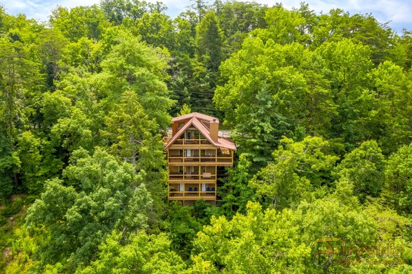 Pigeon Forge Log Cabin "Bearadise Mountain Lodge"