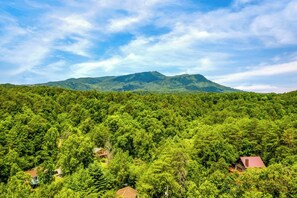 Wears Valley Log Cabin "Bearadise Mountain Lodge" - Mountain views
