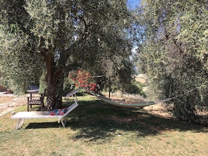 Relax corner at the shade of olive trees