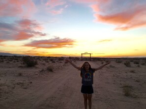 Adobe in the Palms
