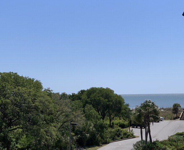 View from Balcony 