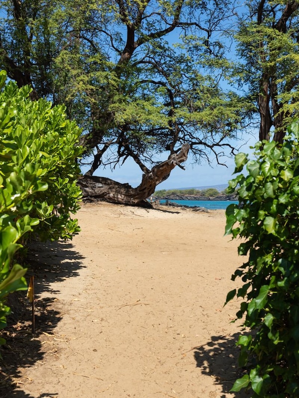 Walk the short path to the beach - Walk the short path to the beach