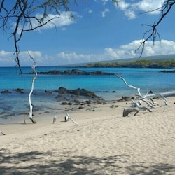 Waialea Bay