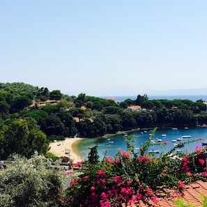 View from the terrace