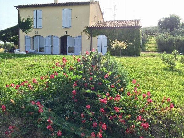 Poggio al Sole