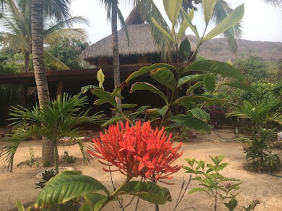 Tropical, frente al mar, Troncones Beach Casa, perfecto para unas vacaciones en el paraíso!