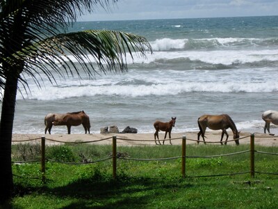 Tropical, frente al mar, Troncones Beach Casa, perfecto para unas vacaciones en el paraíso!