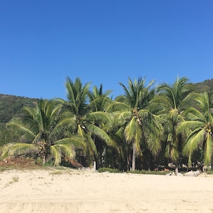 Tropical, frente al mar, Troncones Beach Casa, perfecto para unas vacaciones en el paraíso!