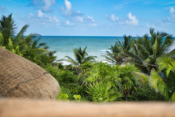 Roof view.