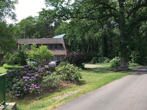 Udendørsområde