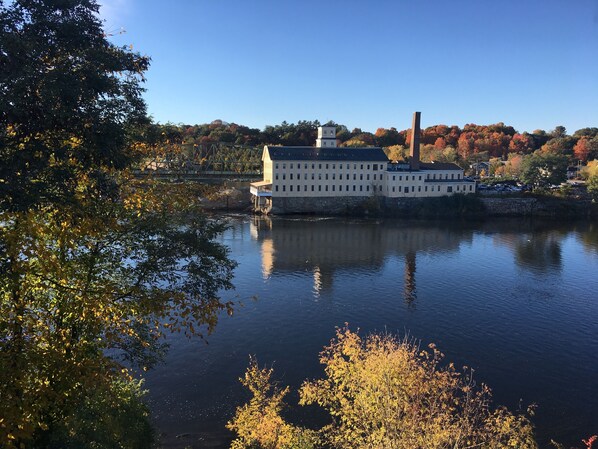 Enjoy this view from almost every room in the house!