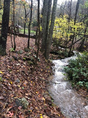 Creekside Fun!
