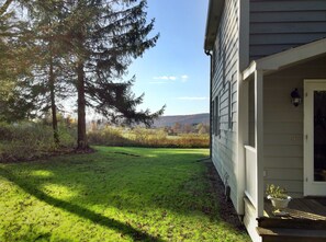 October grass, October sun.