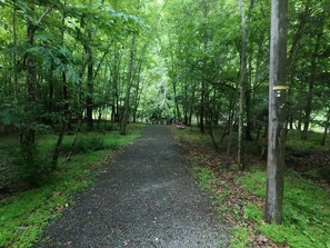 Private walk down to the fire pit/creek area. This is in the front yard