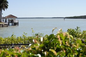 View from pool