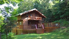 From the well wooded back yard.