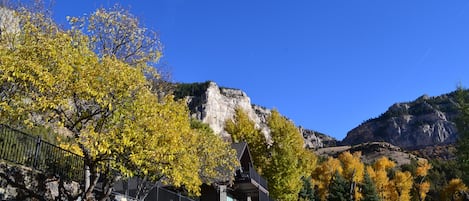 Beautiful fall colors! Every season is breathtaking in the canyon.
